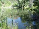 small pond on taylor creek